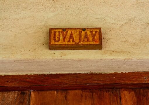 Habitación Uvajay