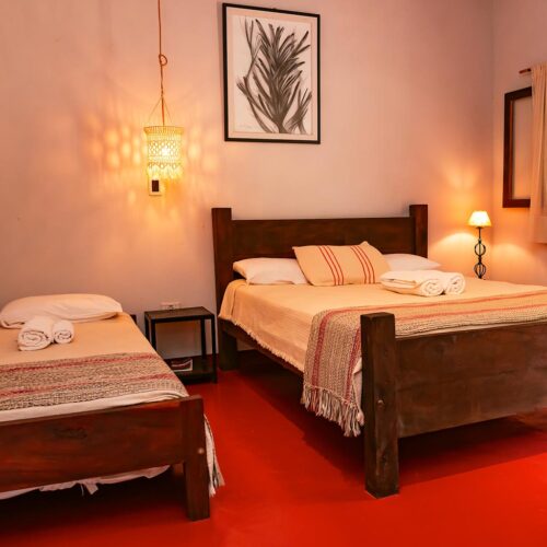 Habitación Caraguatá