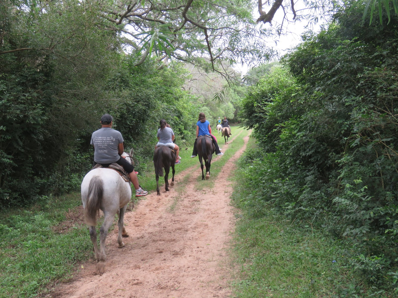 3.1. Cabalgata