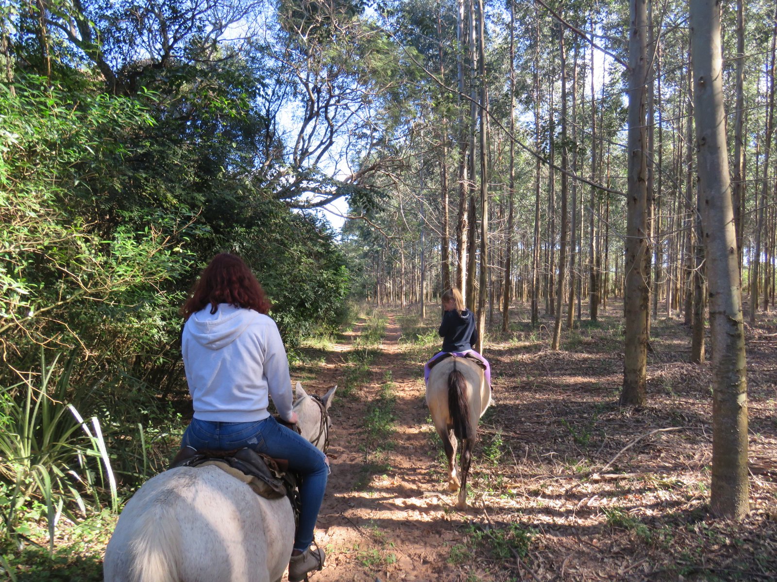 3.2. Cabalgata