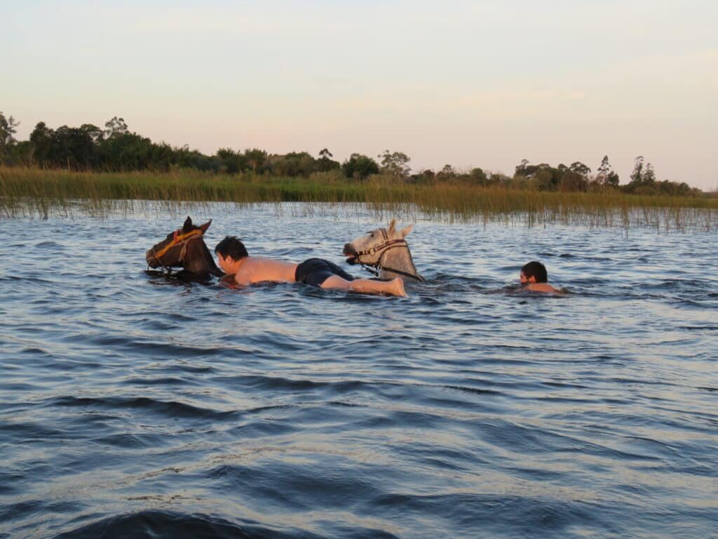 3.5. Cabalgata