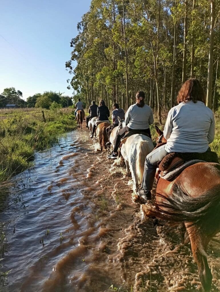 3.6. Cabalgata