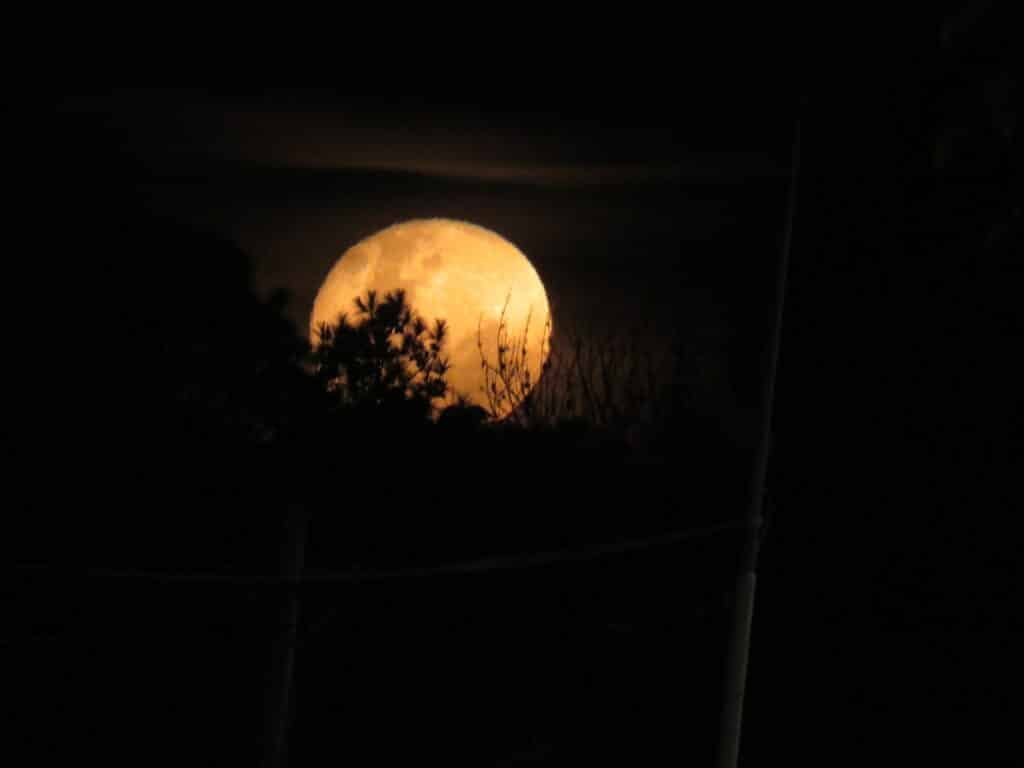 5.4. Actividad nocturna